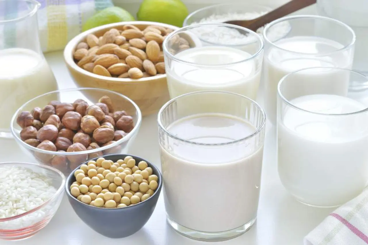 Leches vegetales vs leche animal, ¿qué las diferencia y por qué no deben llamarse igual?