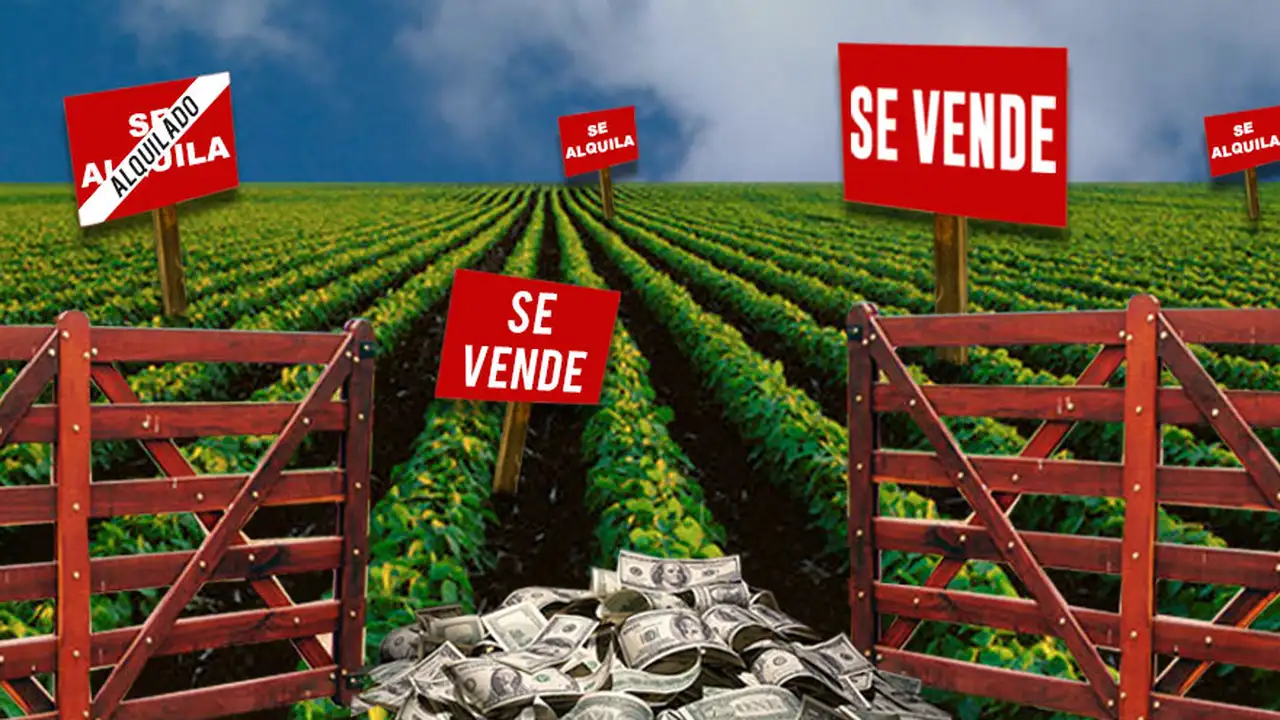Qué sector busca capitalizar los dólares que llegarán de la mano de la súper soja