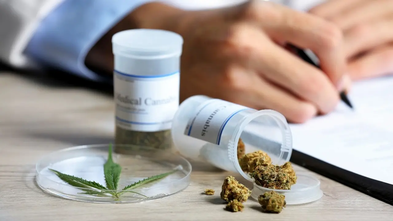 Farmacéutica internacional del mercado de cannabis medicinal quiere participar del proyecto jujeño