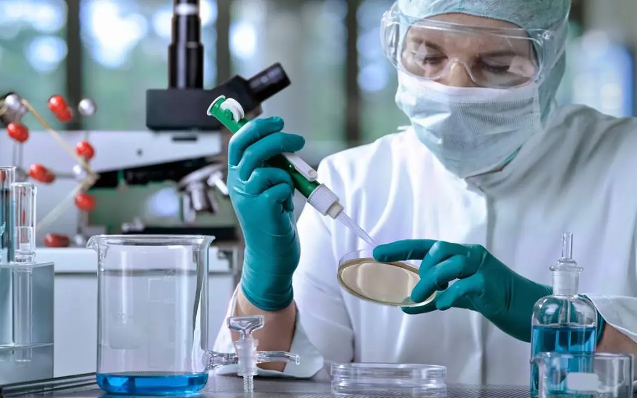 ¿La lucha habría terminado? Científicos analizan una potencial cura contra el cáncer