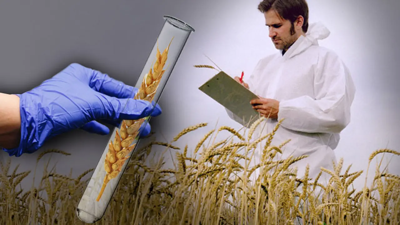 Mayo arranca con exportaciones del agro por u$s1700 millones