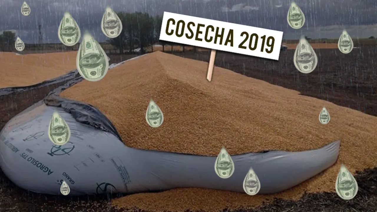 Vuelve el "fantasma del silobolsa" justo cuando el Gobierno juega su suerte a los dólares de la soja