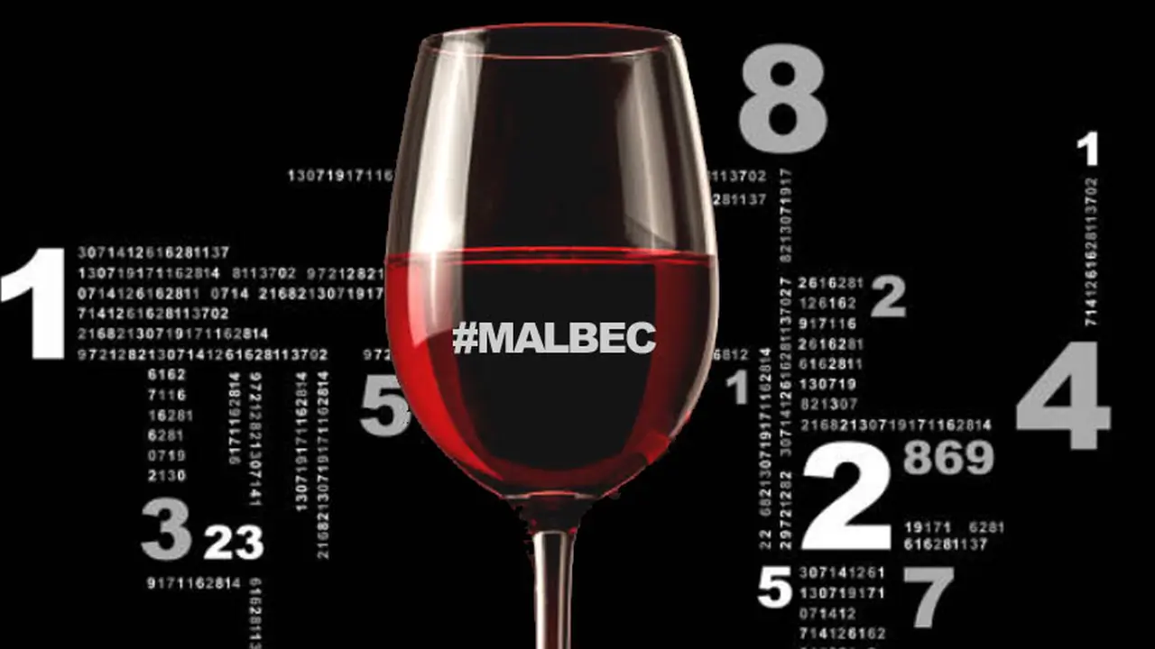 Vinos: cifras que revelan por qué el Malbec es la cepa insignia argentina
