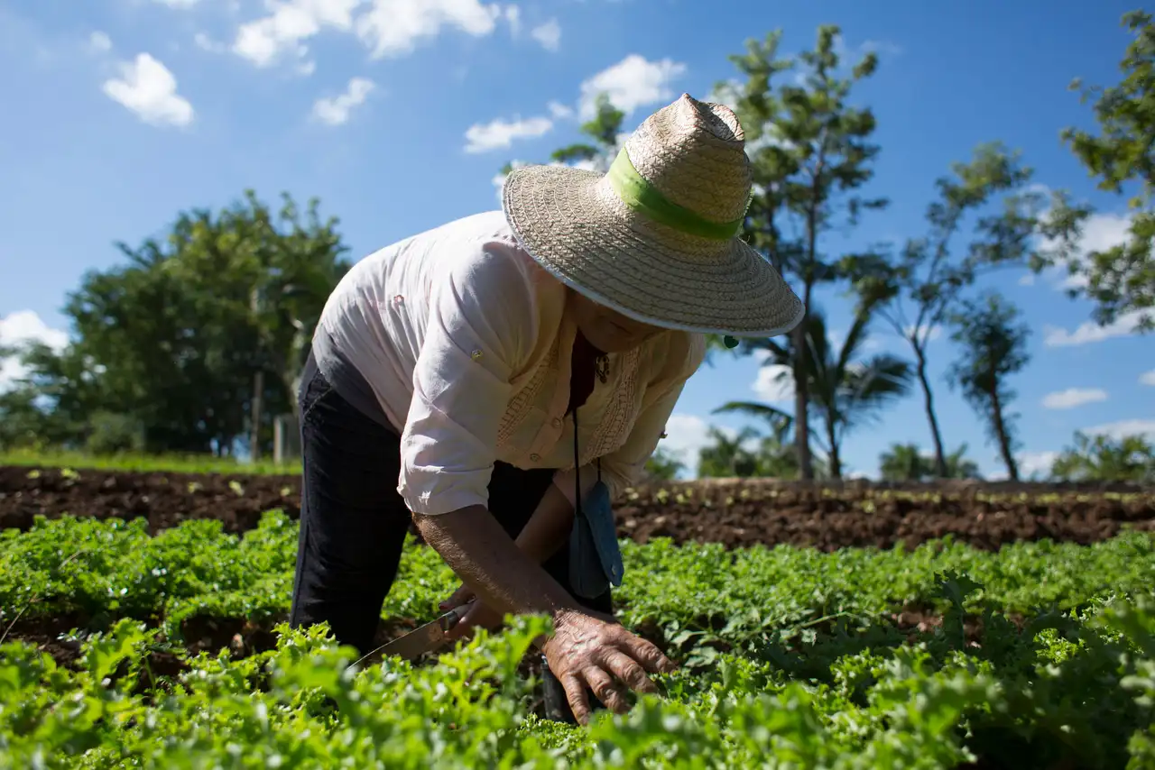 Crecen los emprendimientos para cuidar el medio ambiente.