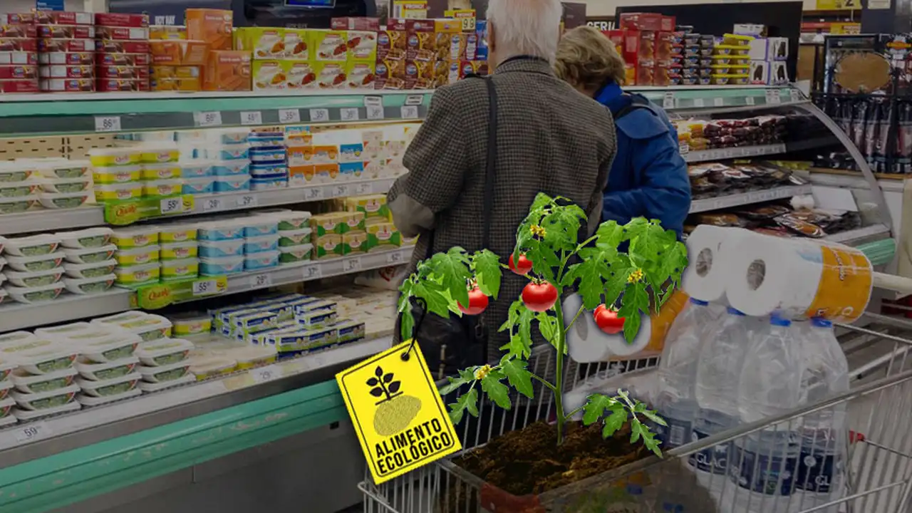 Comer sano: la agroecología suma miles de hectáreas y el modelo ya se "exporta"
