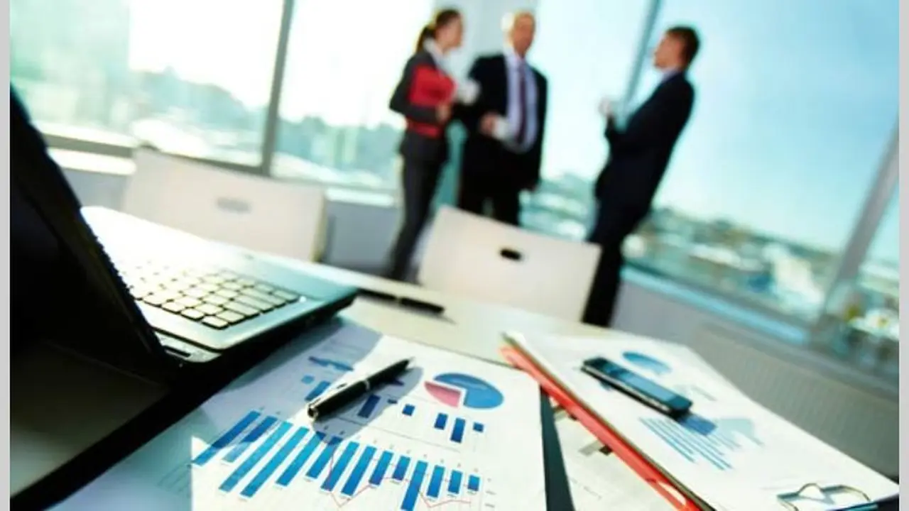 Se deben controlar todos los sistemas y la contabilidad de la empresa para verificar cumplimiento de obligaciones sustantivas y formales