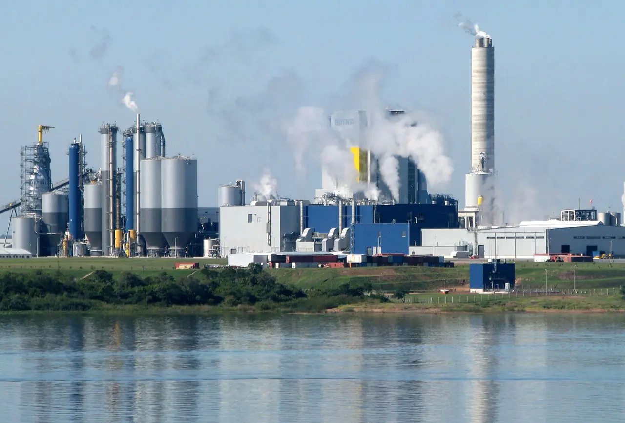 La dueña de la ex Botnia invertirá u$s3.000 millones para construir una segunda pastera en Uruguay