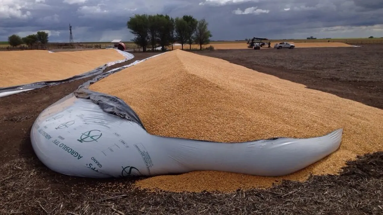 El auge de la soja puede llevar a un masivo cambio de rubro entre los productores rurales