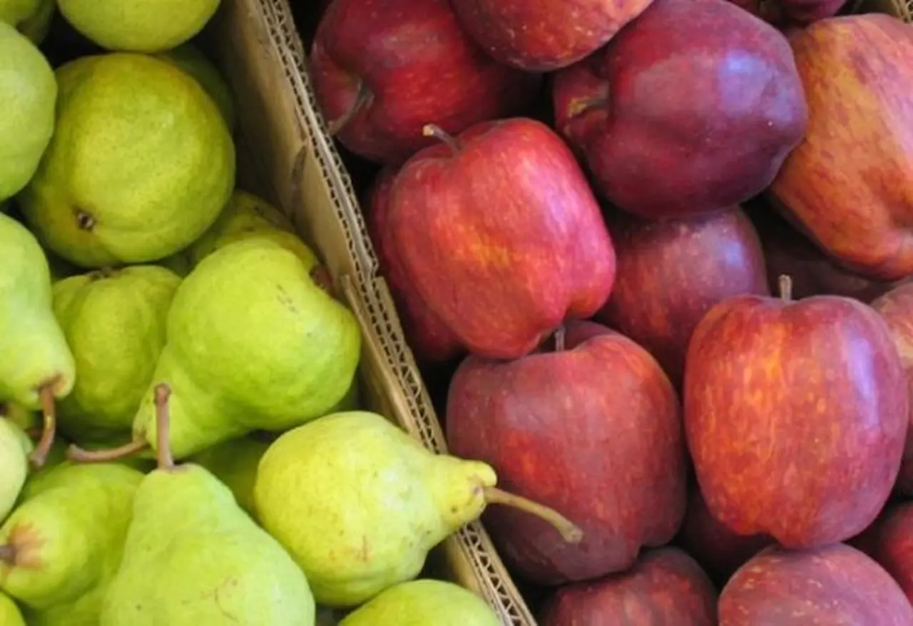 Elegí tu fruta favorita y te dirá cómo sos