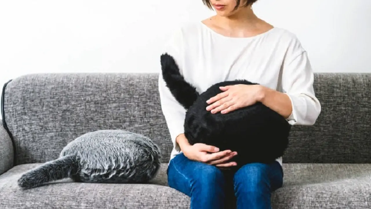 Desde el "robogato" hasta los espejos "inteligentes": el "top ten" de los lanzamientos más insólitos de la feria tecnológica de Las Vegas