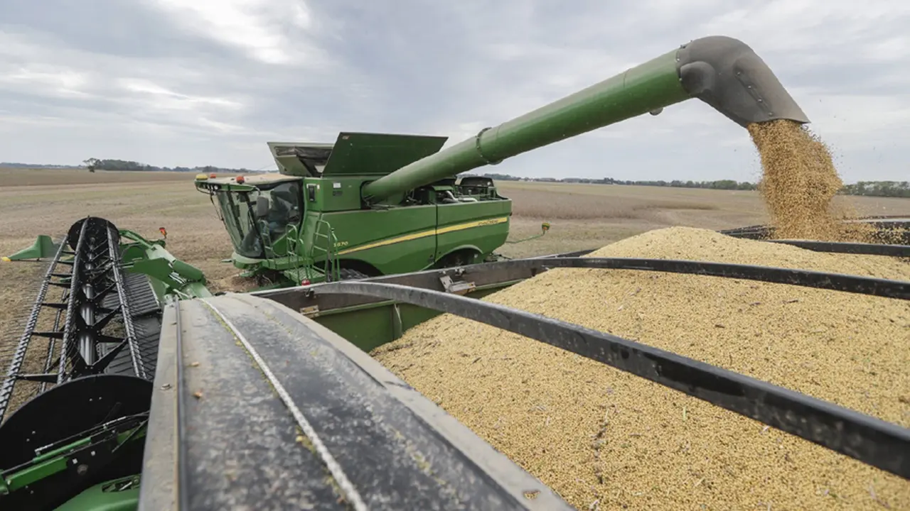 El biodiesel, clave para la producción agropecuaria.