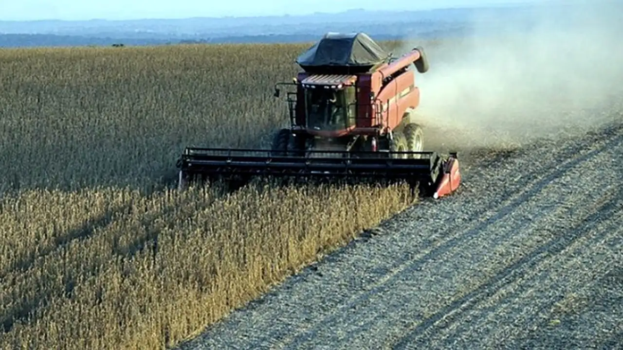 Arrancó el paro del campo pero hubo ingreso de hacienda y granos a los puertos