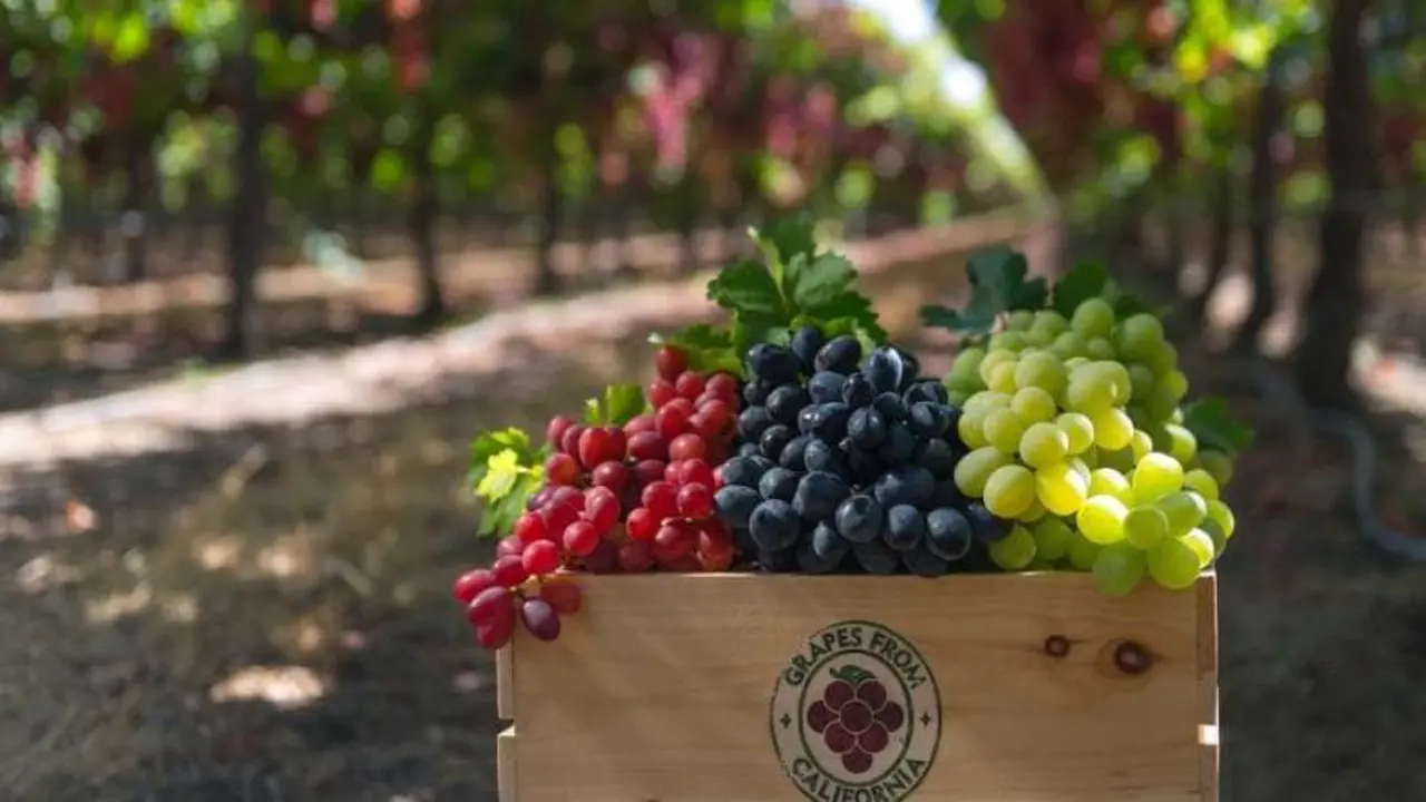 Las uvas son una fruta con una gran cantidad de nutrientes