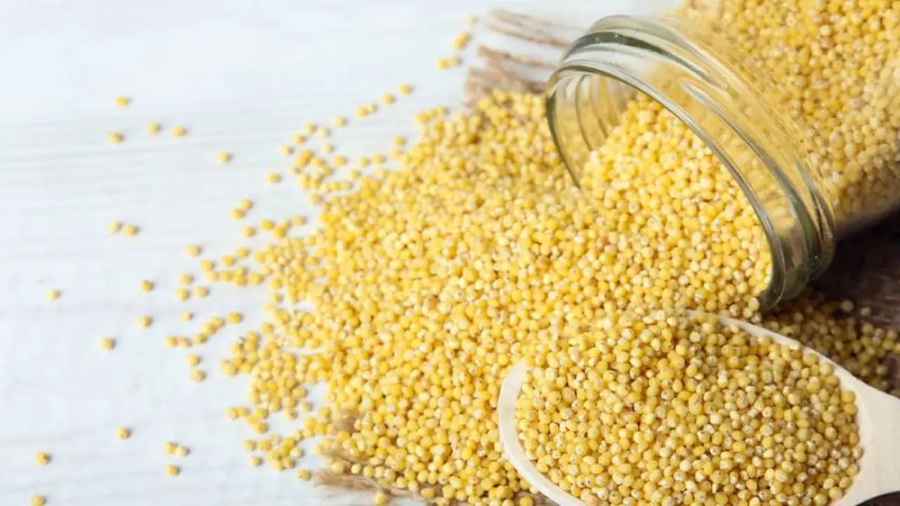 El mijo es similar a la quinoa