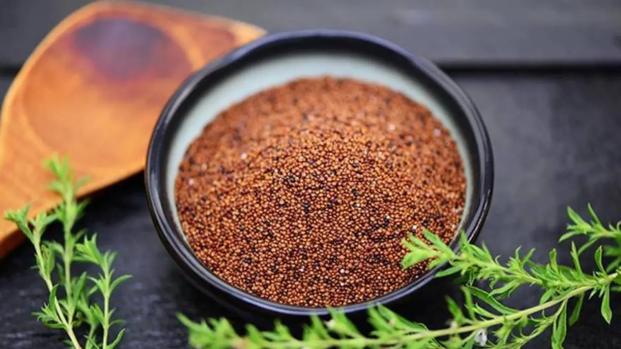 La kañiwa es poco conocida, pero también es nutritiva como la quinoa