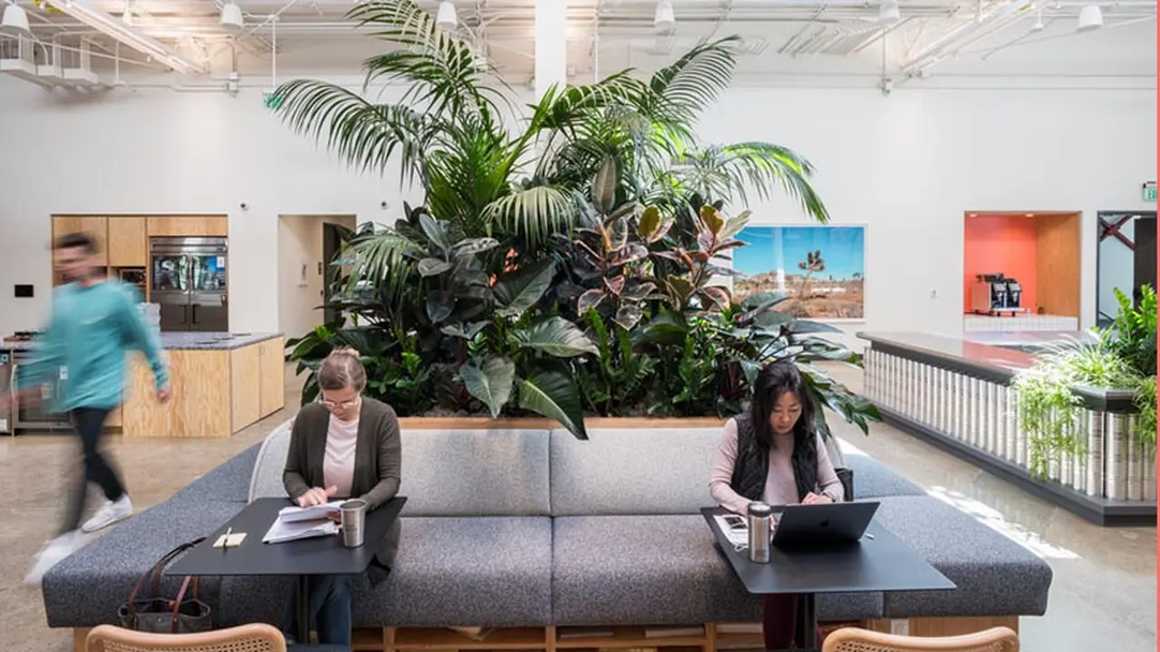En las oficinas de WeWork se intercalarán asientos de manera segura
