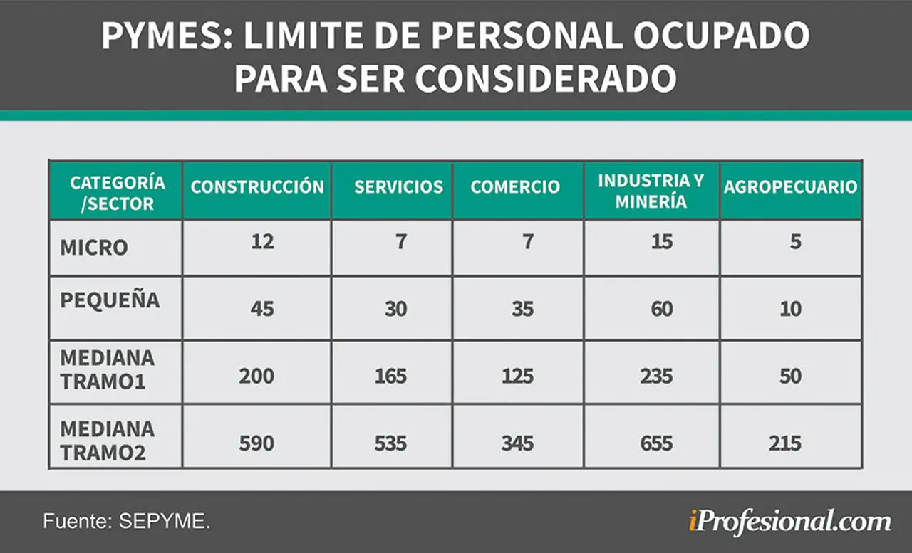 La cantidad de trabajadores es importante en algunas empresas es importante para obtener el Certificado Pyme