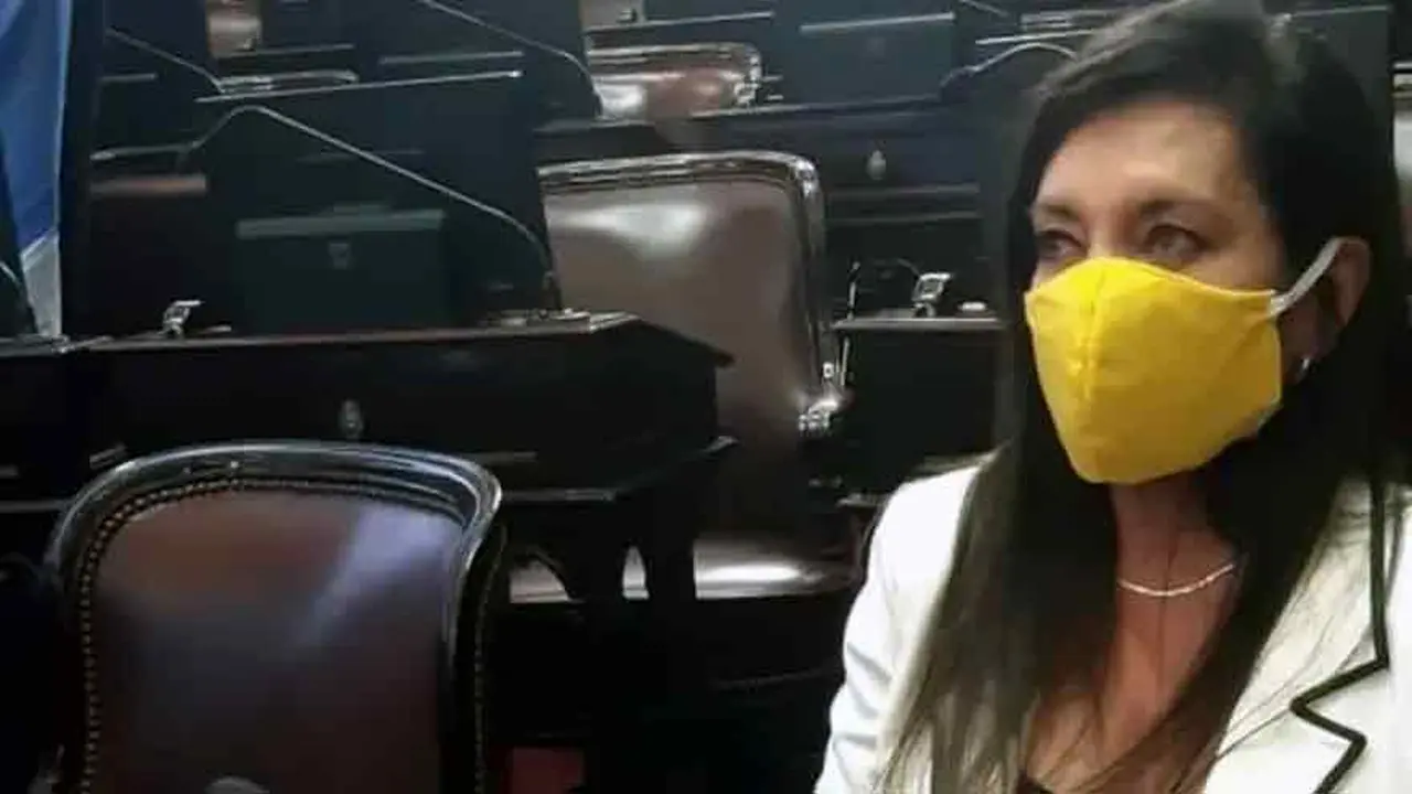 La senadora por el Pro, Laura Rodríguez Machado, utilizó un tapabocas color amarillo.