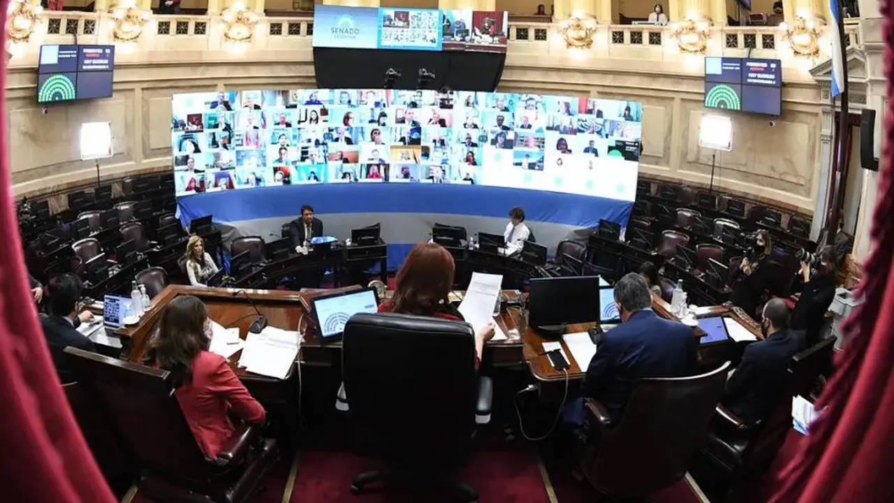 El Senado debatirá el proyecto a partir de las 14 en una sesión virtual