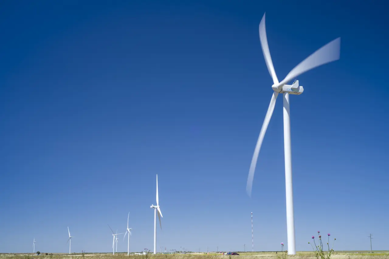 La mayor generadora de energías renovables apuesta al dólar "sustentable", ¿qué hará?