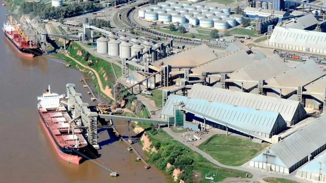 El alto nivel de capacidad instalada en el procesamiento de granos en el país pone en duda el atractivo de Vicentin como comprador