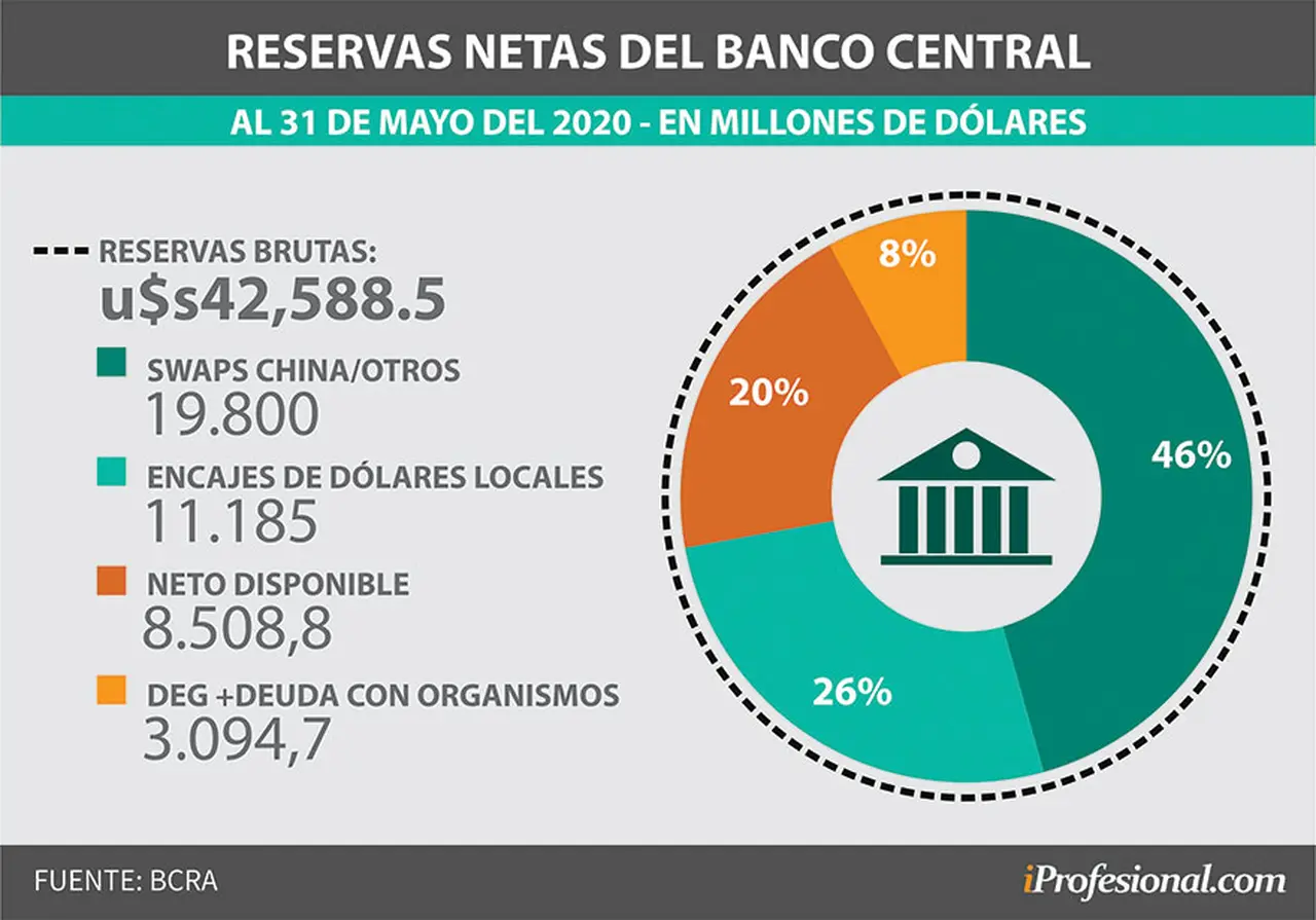 Para el economista de FIEL, Juan Luis Bour, esta es la distribución actual de las reservas