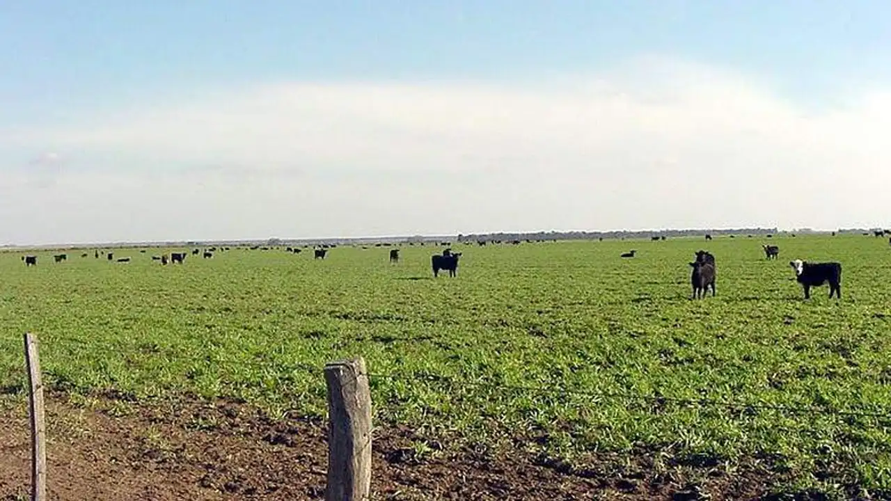 Los trabajadores rurales de la Uatre logran un aumento salarial de 32%