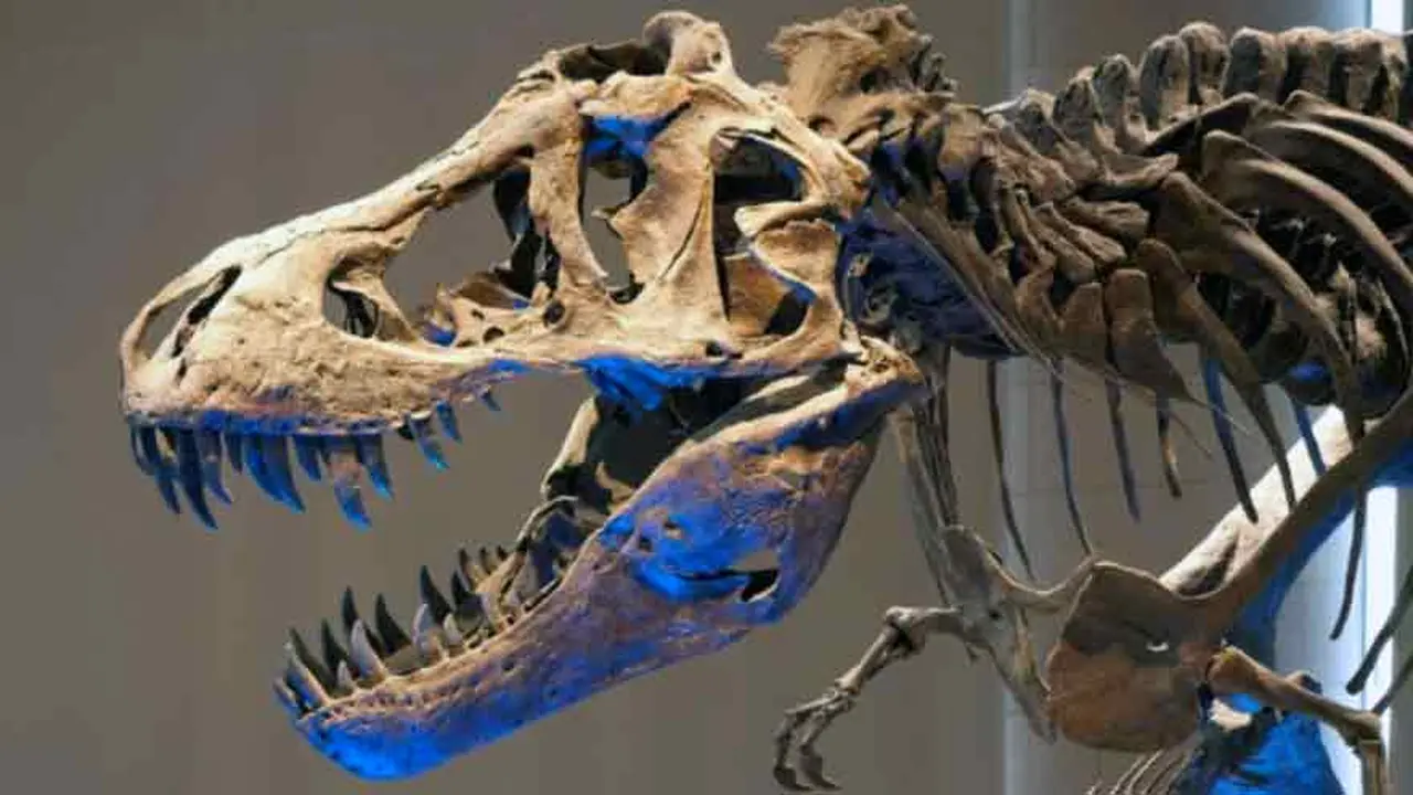 ¿Cómo encontrar los dinosaurios de "Jurassic World" en el buscador de Google'