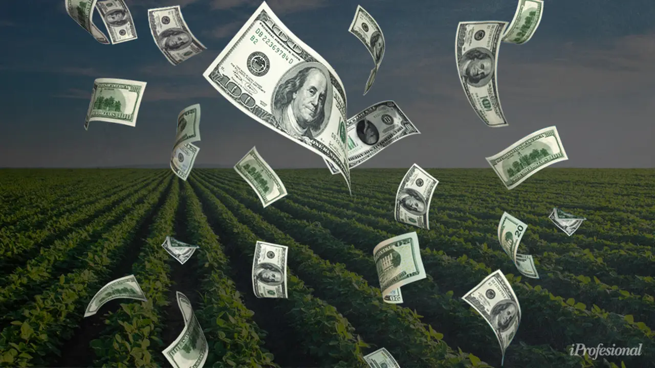 Tras el conflicto por Vicentin, el Presidente plantea un plan para el estímulo a la exportación agrícola