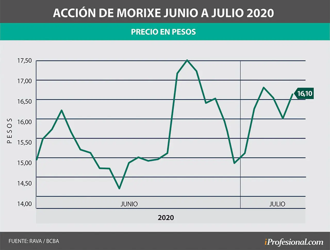 Desde mayo a la fecha, la acción de Morixe tuvo variaciones notorias