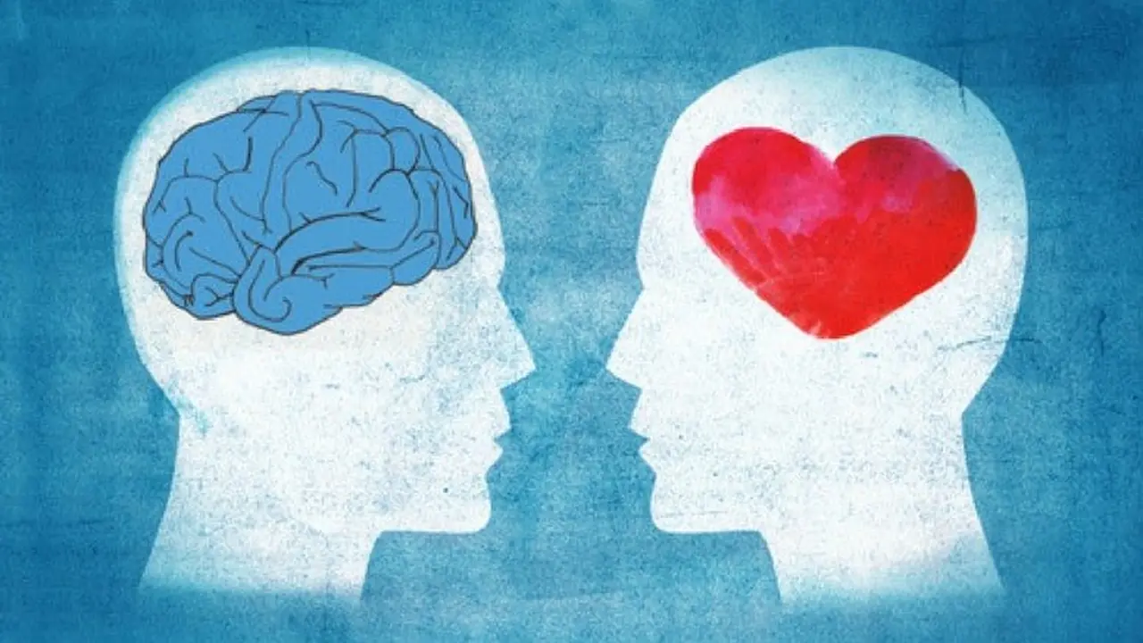 La educación emocional ayuda a conectar con el lado emocional y el racional del cerebro