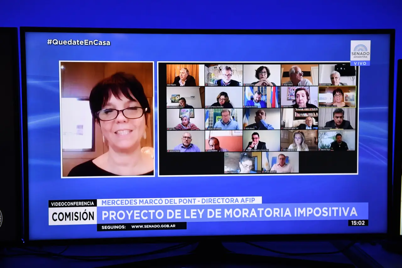 Marcó del Pont, en un zoom con senadores para fundamentar la moratoria: la AFIP contó al impuesto PAIS como uno de sus principales ingresos