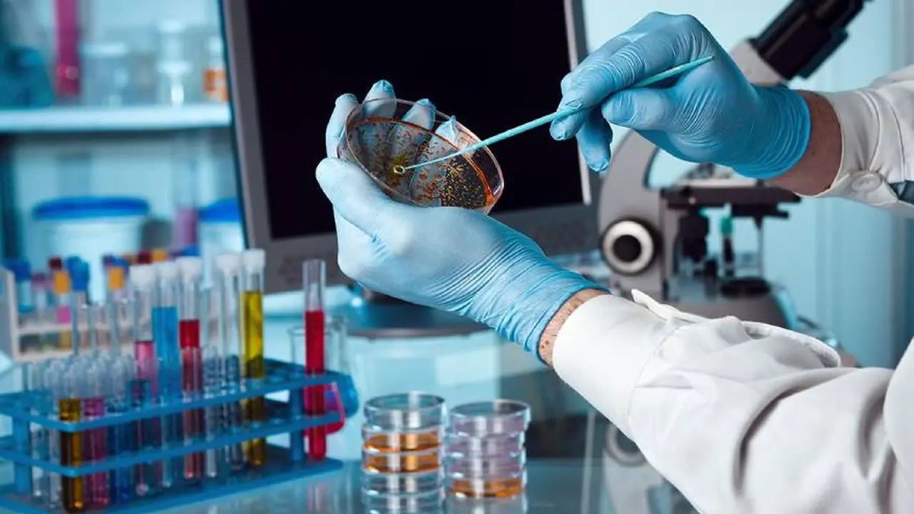La investigación y el desarrollo de medicamentos es muy importante en Argentina