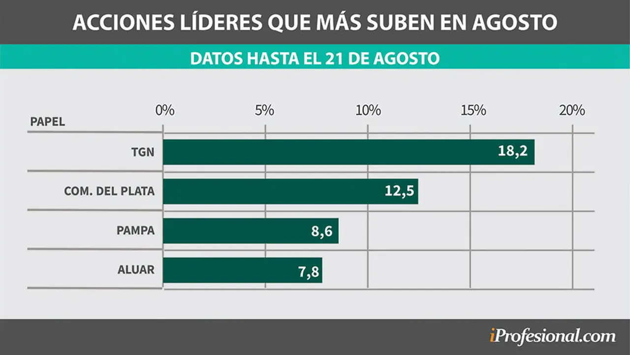 Un grupo de acciones líderes subió hasta 18 por ciento