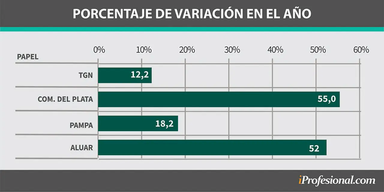 En el año la suba acumulada por las acciones de las empresas líderes fue dispar