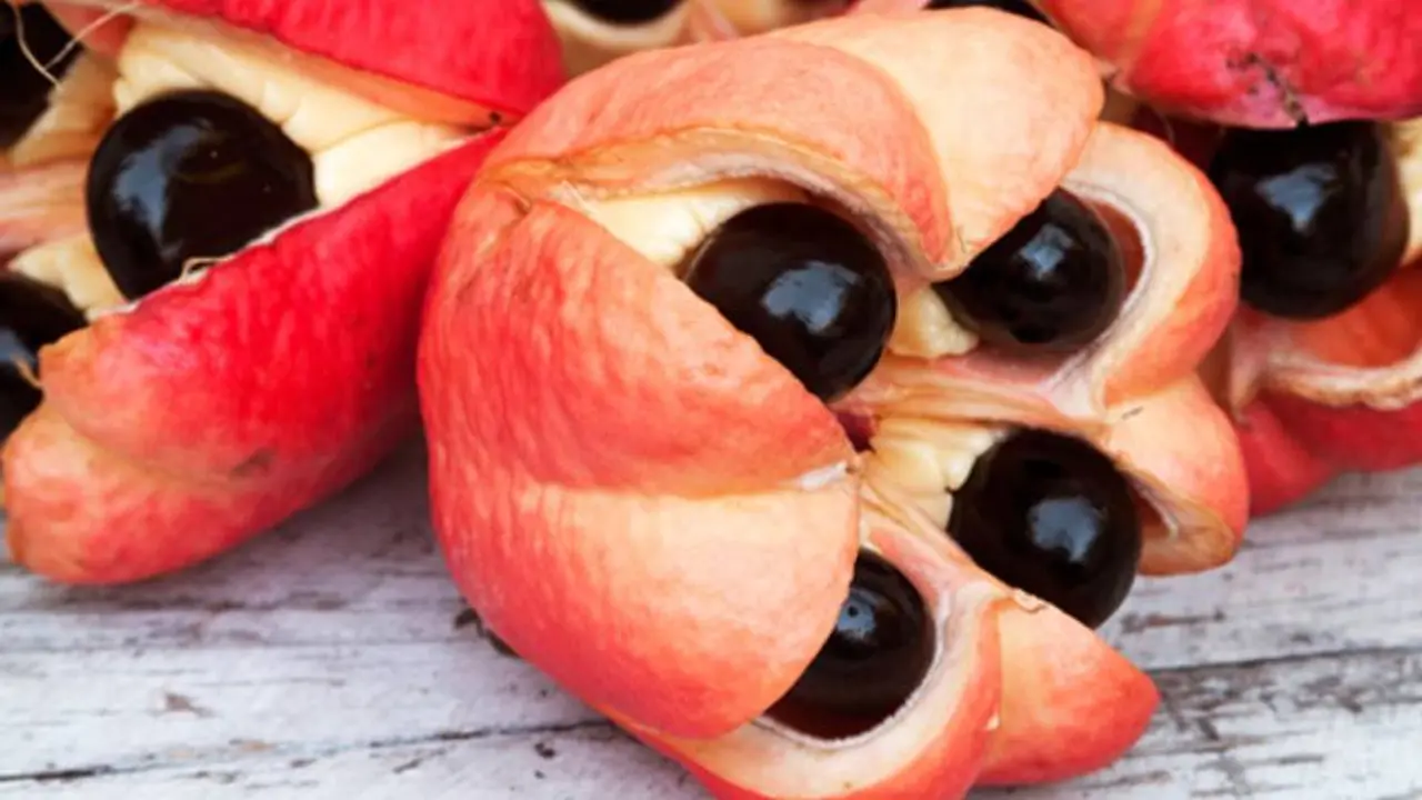 Esta es ta fruta ackee
