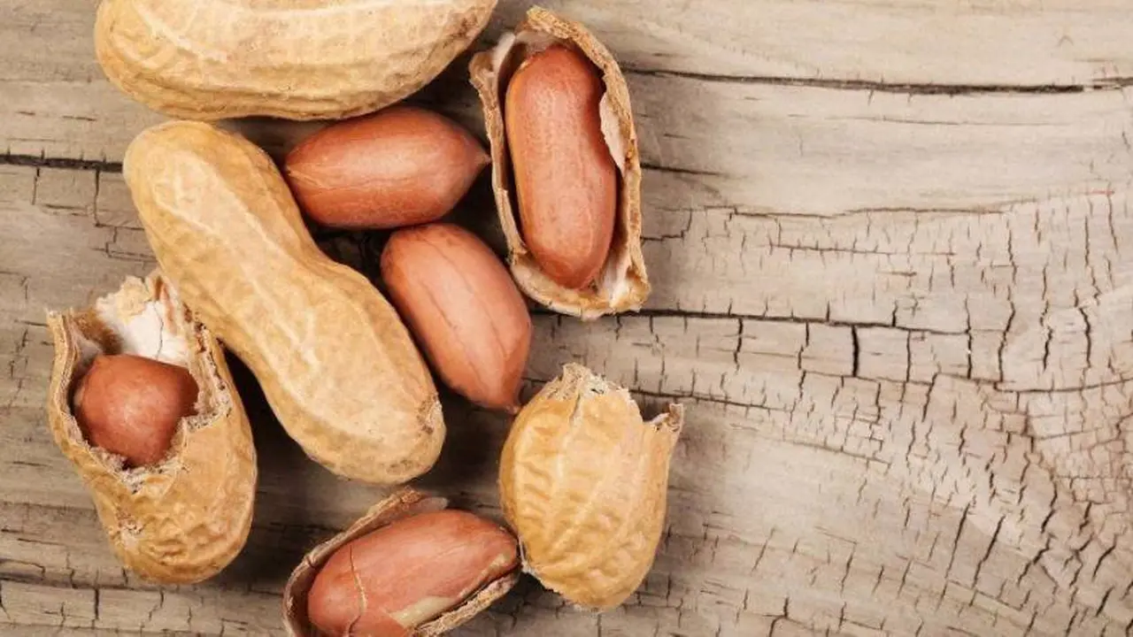 El maní es uno de los alimentos con proteínas que compone esta lista