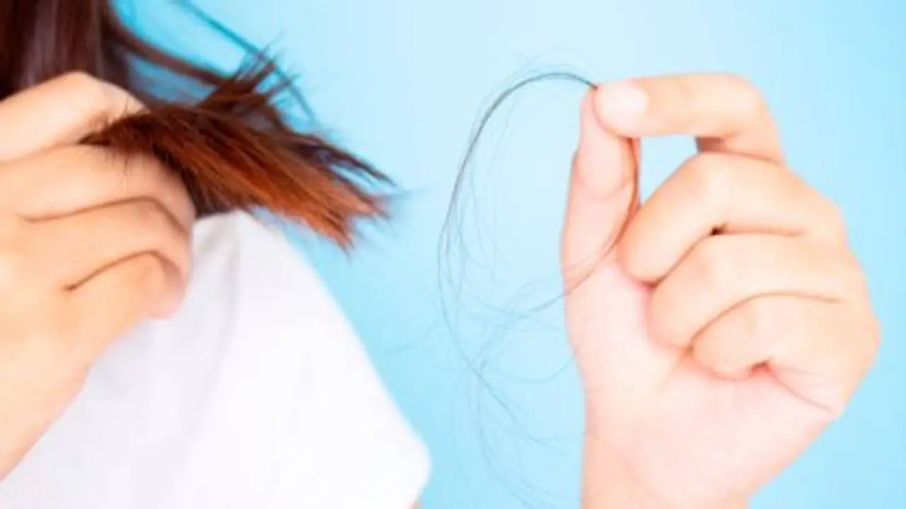 La caída del pelo podría asociarse a la vida sedentaria que las personas llevaron durante la pandemia