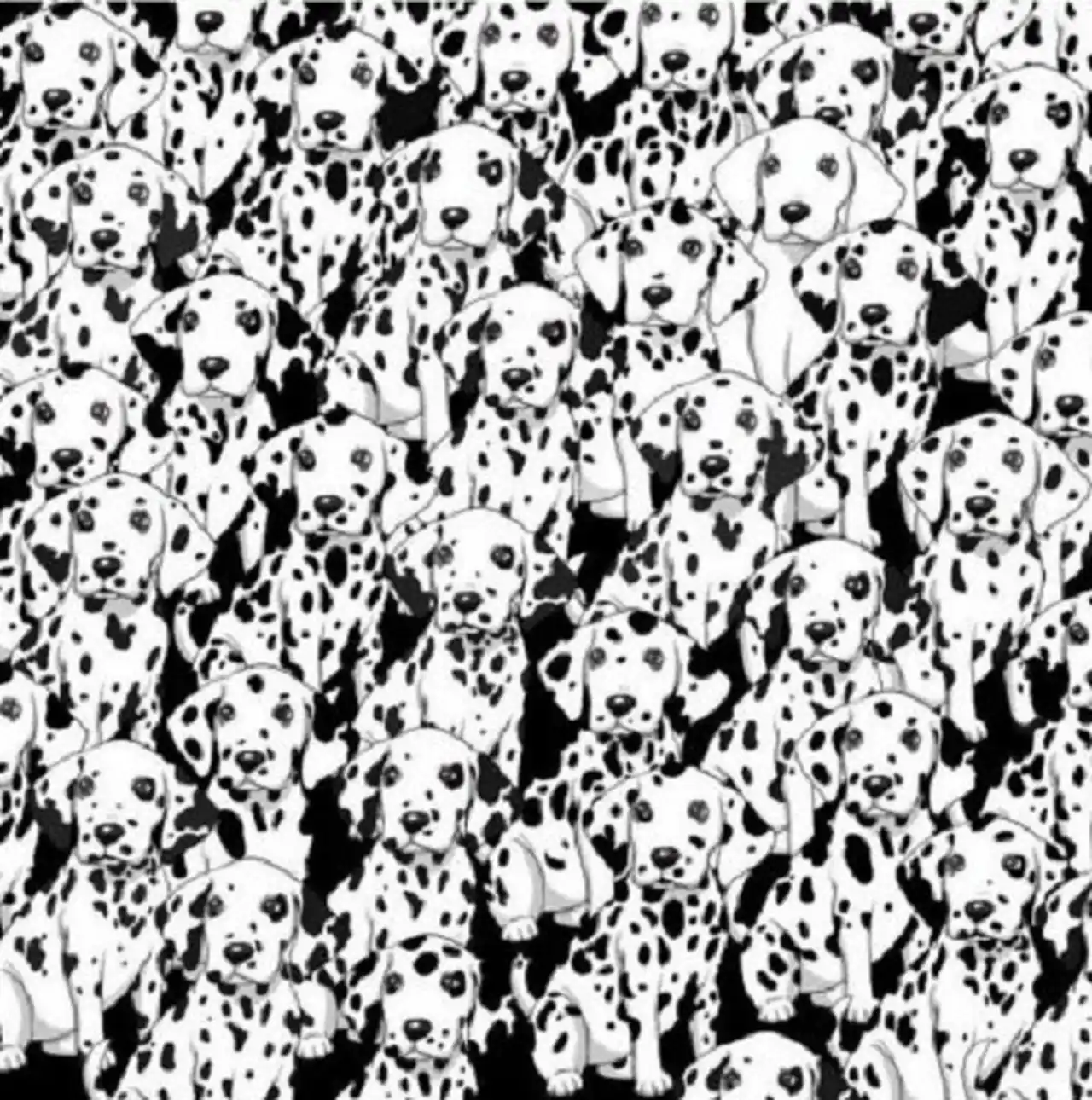Reto visual: ¿Dónde está el perro sin manchas?