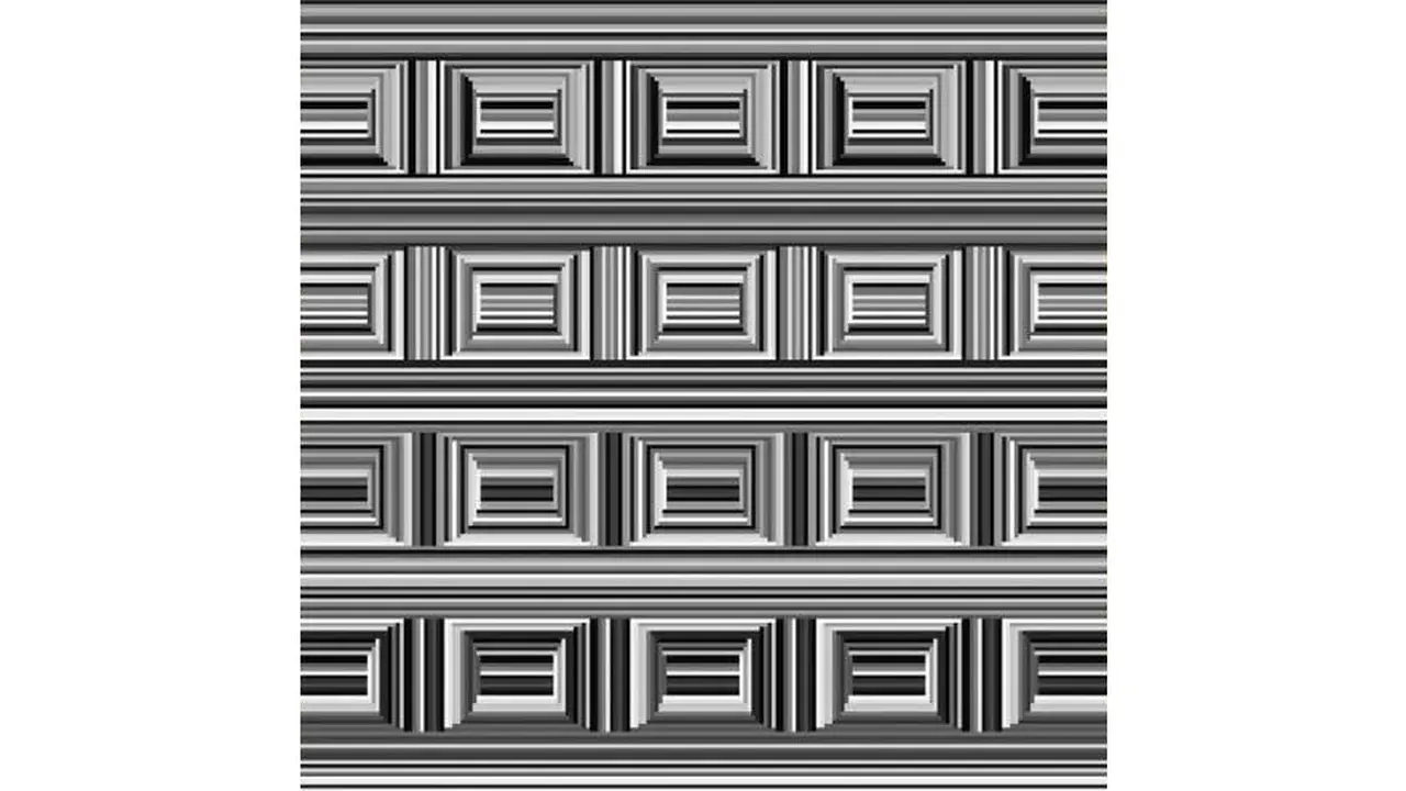 Ilusión óptica: ¿podés encontrar los 16 círculos que hay en la imagen?