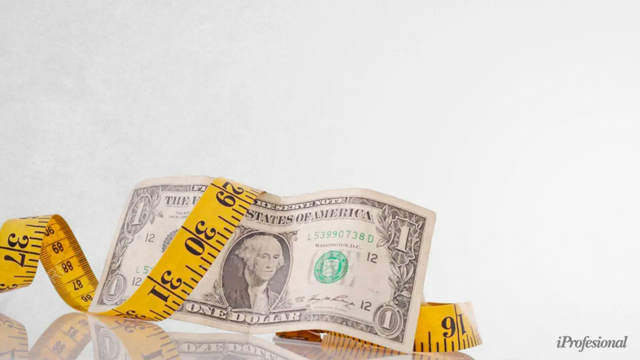 Las distorsiones económicas generan que los argentinos midan sus ahorros en dólares y busquen resguardo en esa moneda.