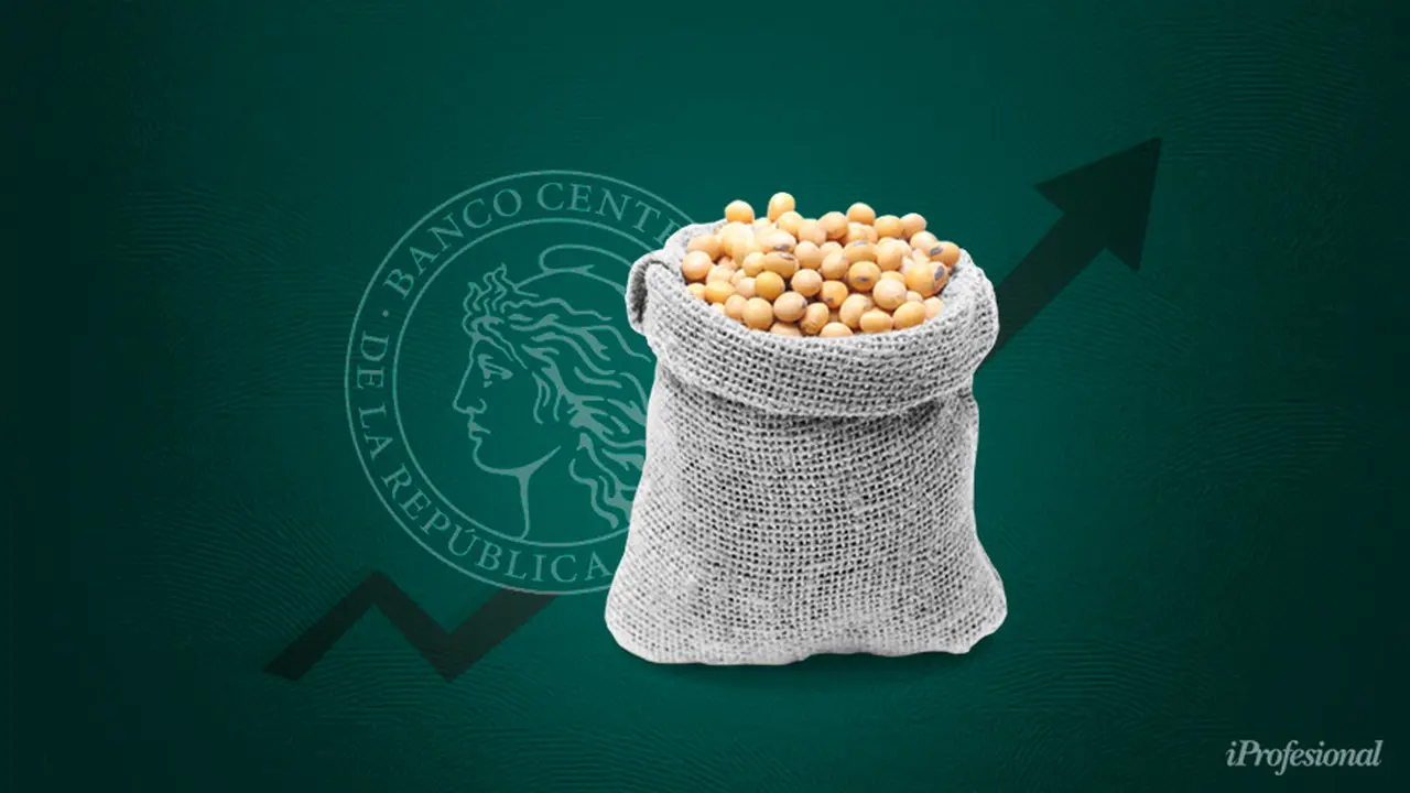Acciones vinculadas a empresas agropecuarias muestran un interés atractivo por los mejores precios internacionales de las materias primas.