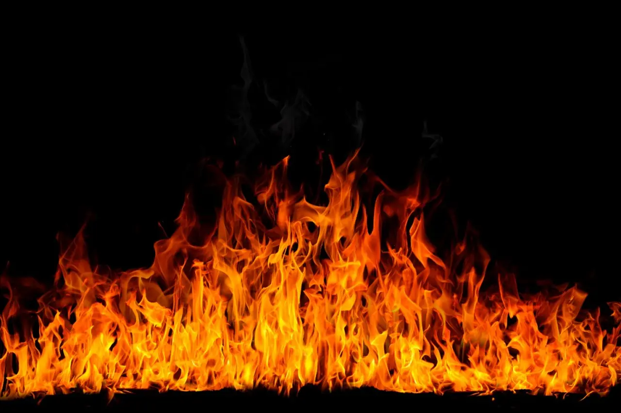 El fuego como elemento tiene un significado especial en el Zodíaco que determina los signos de fuego