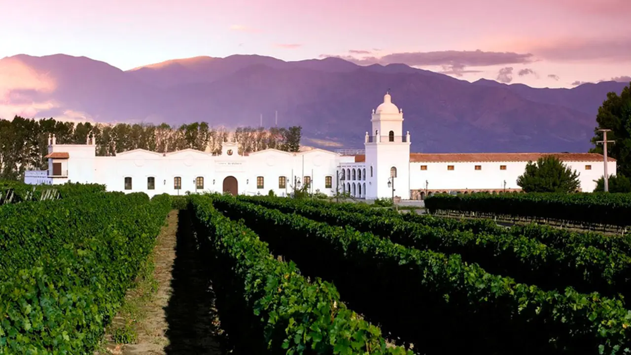 Cinco vinos sorprendentes de bodega El Esteco que tenés que probar