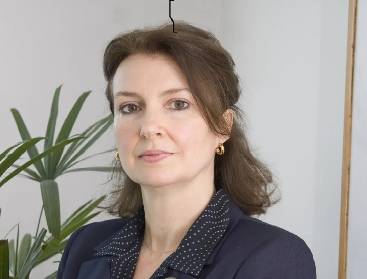 La economista Diana Mondino afirma que la única alternativa actual para ahorrar es el dólar.