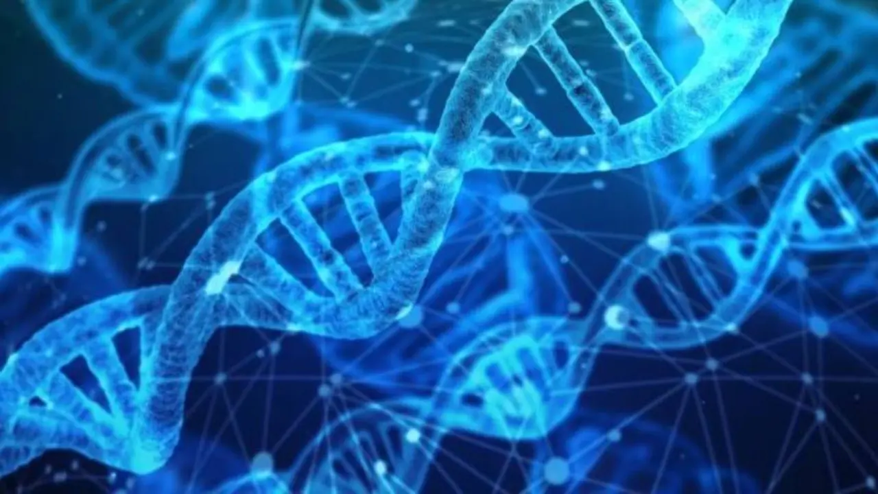 Estudio: genes neandertales podrían estar detrás de casos graves de coronavirus