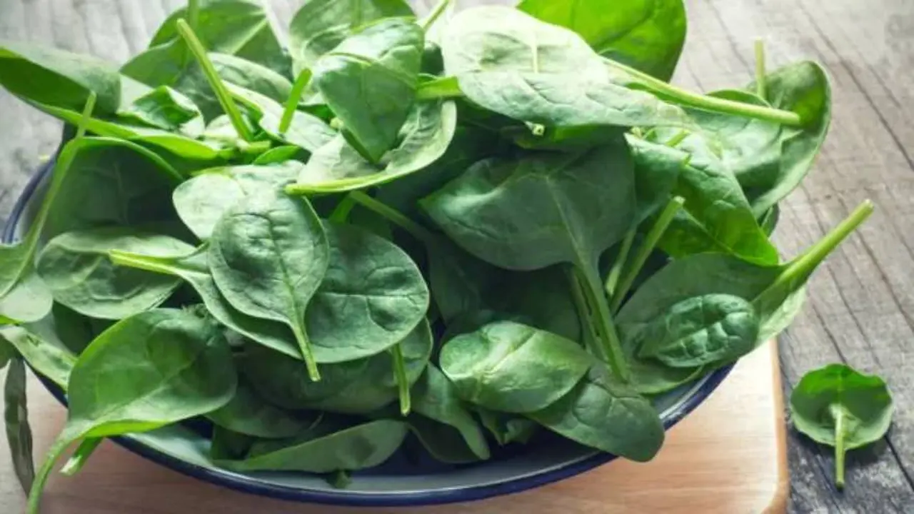 Dentro de los alimentos con vitaminas más nutritivos se encuentra la espinada