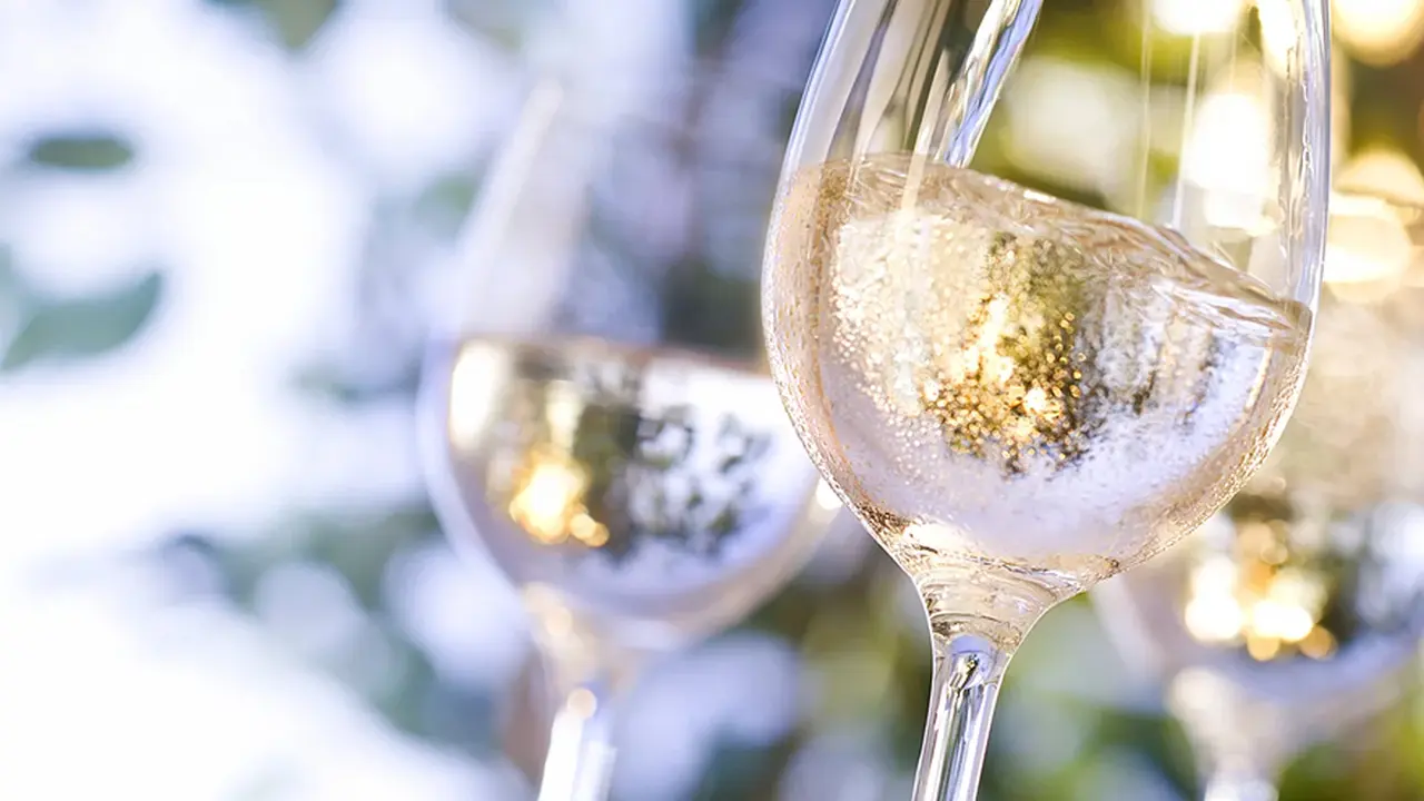 Cosumo de vino: los consumidores preferirían los blancos, espumosos y rosados antes que el tinto