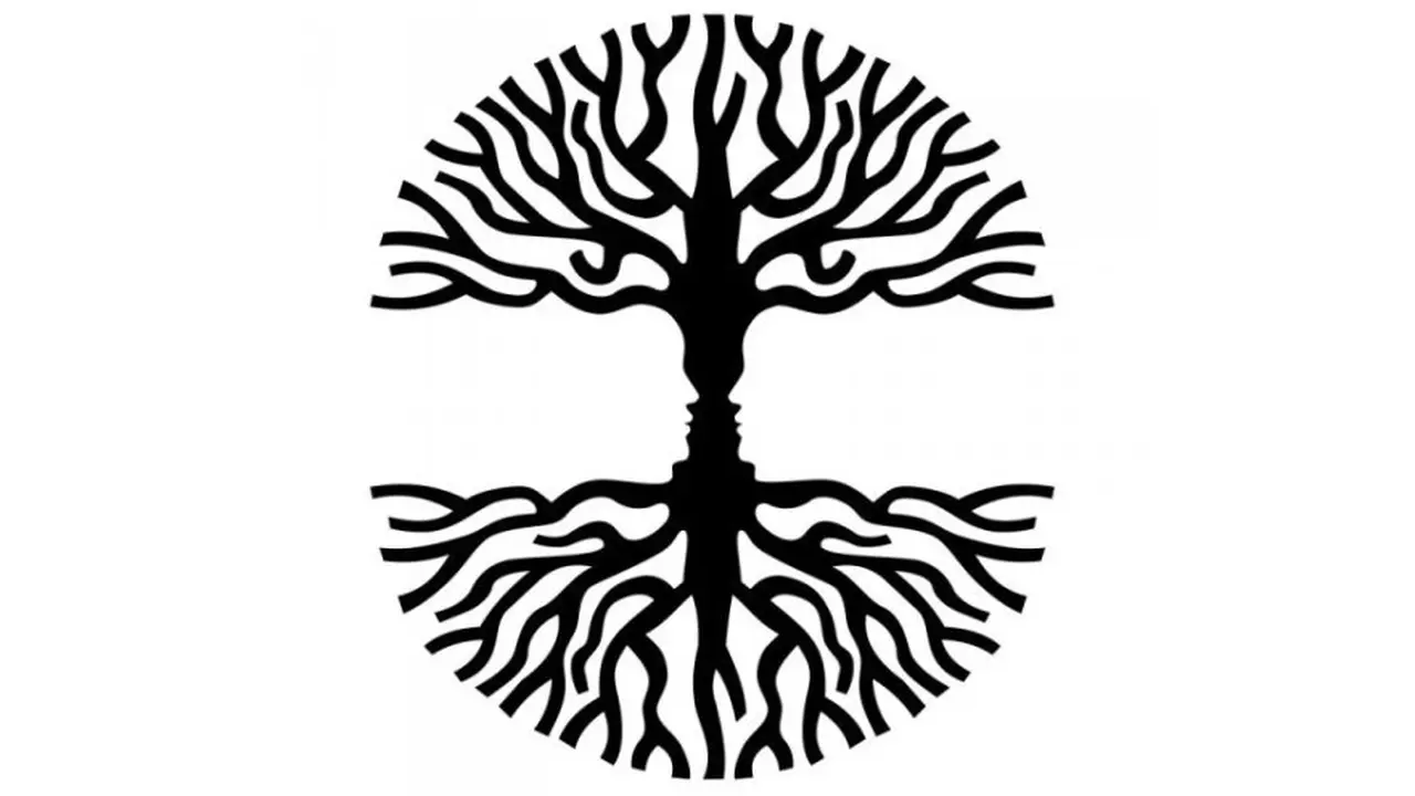 Test del árbol: ¿qué tipo de energía tenés en este momento de tu vida?