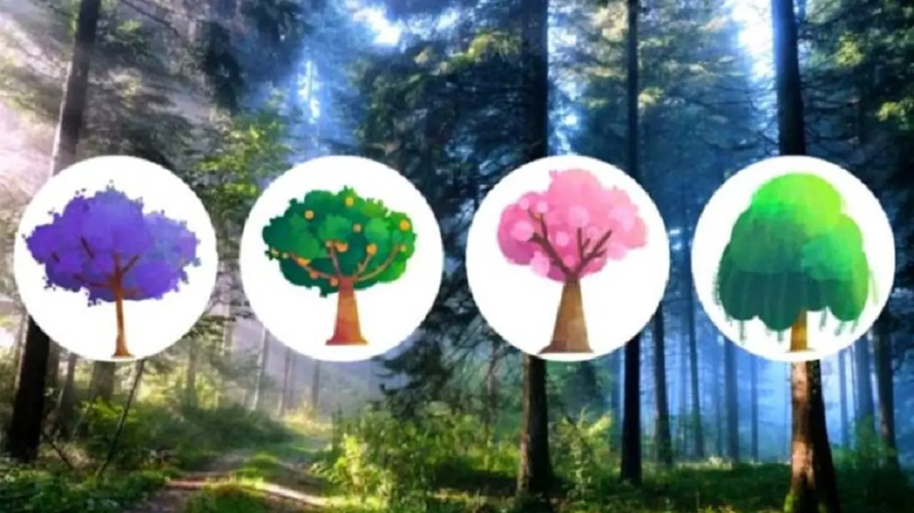 ¿Sos optimista o pesimista?: Elegí un árbol y lo descubrirás
